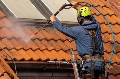 Démoussage et hydrofuge de toiture à Lanne